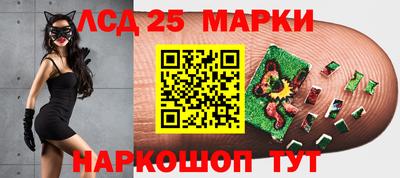 спиды Кинель