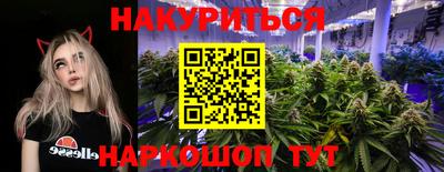спиды Кинель
