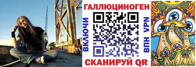 купить наркотик  Ногинск  Псилоцибиновые грибы GOLDEN TEACHER 
