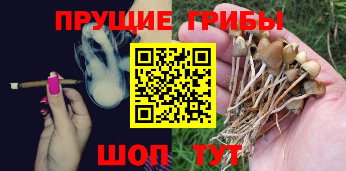 Псилоцибиновые грибы MAGIC MUSHROOMS Ногинск