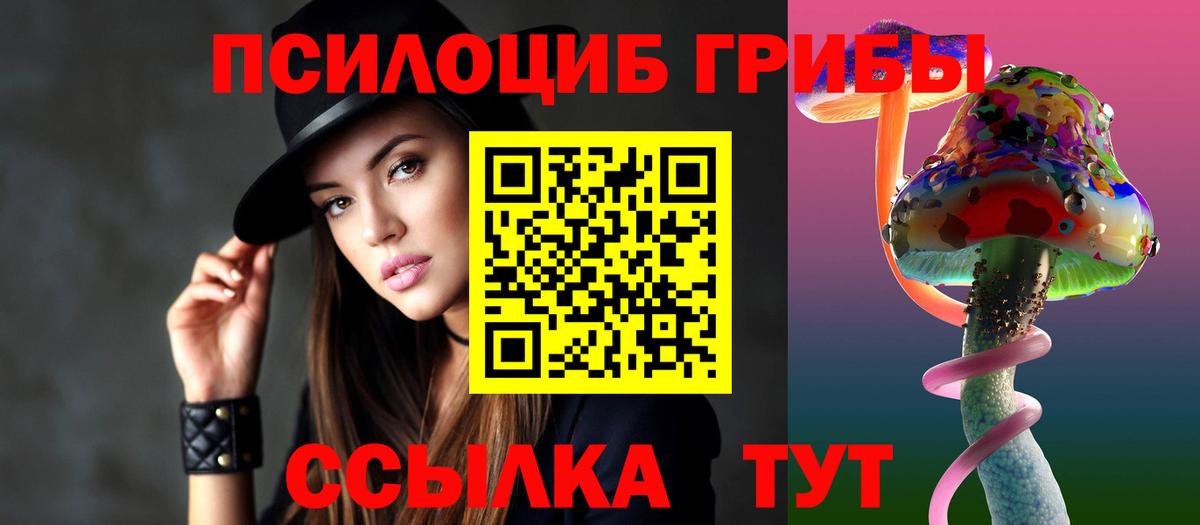Ногинск  Псилоцибиновые грибы мицелий  Вход с VPN  наркотики  Псилоцибиновые грибы прущие грибы 